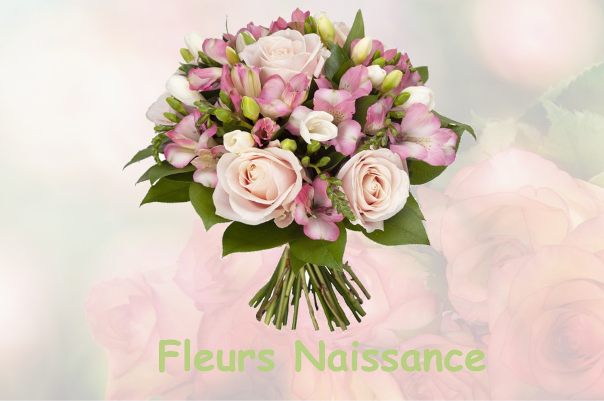 fleurs naissance LION-EN-SULLIAS