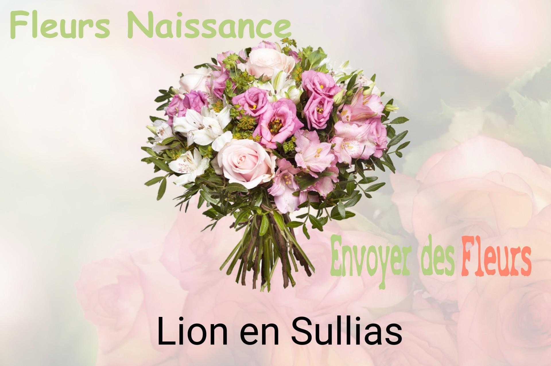 Bouquet de fleurs de naissance livré à Lion-en-Sullias