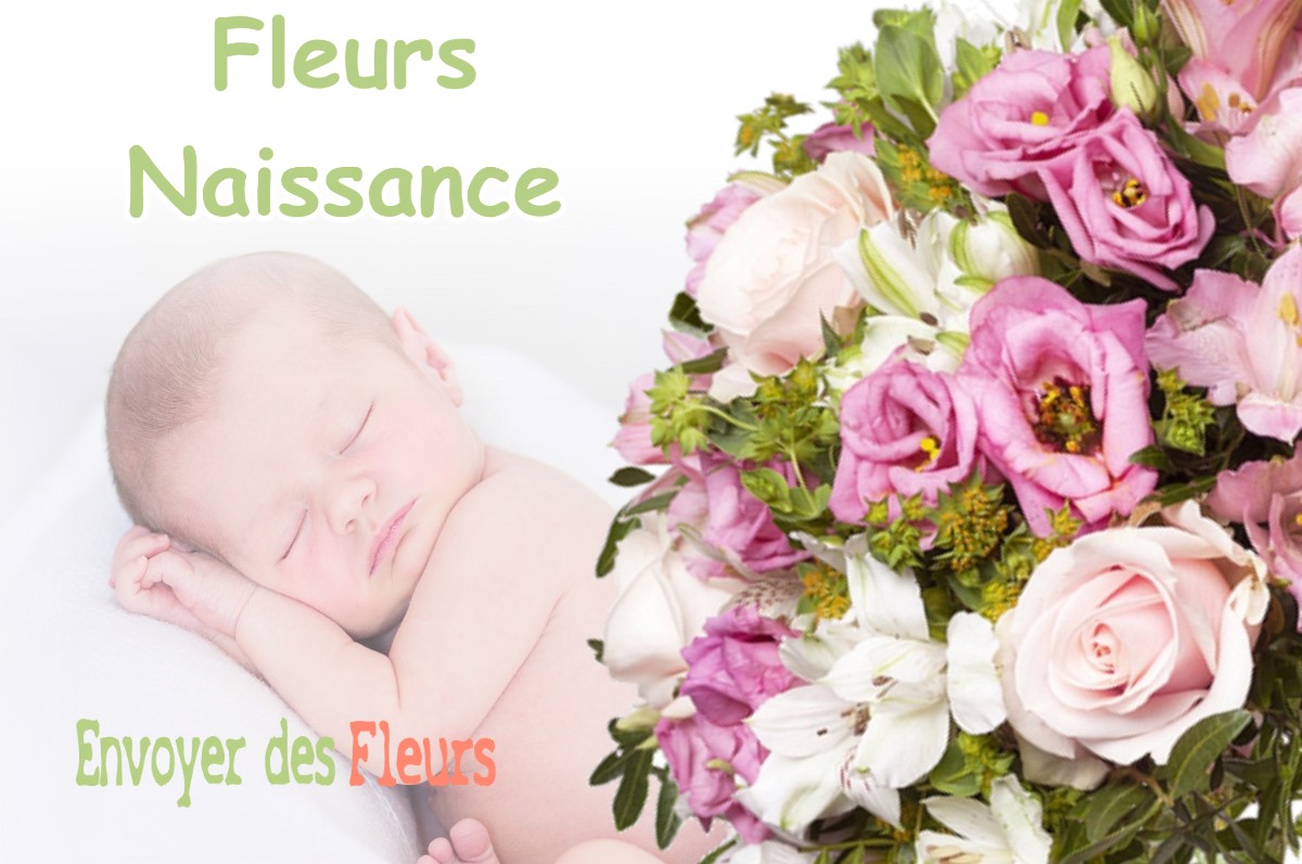 lIVRAISON FLEURS NAISSANCE à LION-EN-SULLIAS