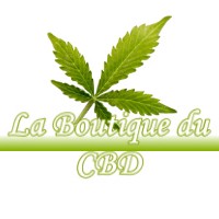 LA BOUTIQUE DU CBD LION-EN-SULLIAS 