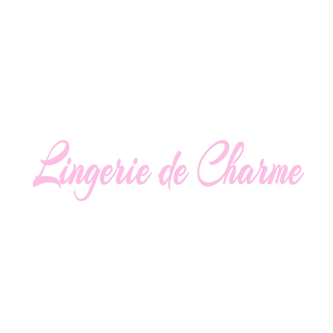 LINGERIE DE CHARME LION-EN-SULLIAS